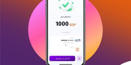 رسميًا .. حدود السحب من إنستاباي InstaPay بعد قرار البنك المركزي - مصر فور