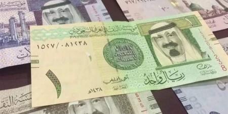 سعر الريال السعودي مقابل الجنيه المصري اليوم الجمعة 27-12-2024 - مصر فور