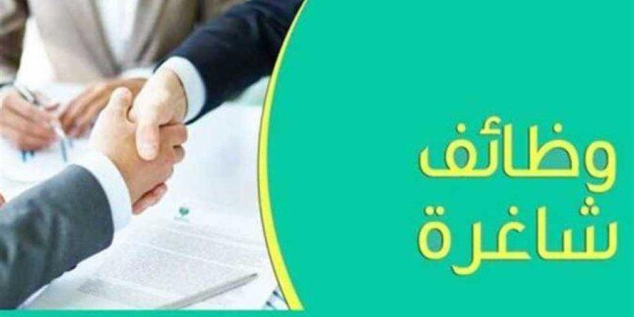 مرتبات
      تصل
      إلى
      11
      ألف
      جنيه..
      «الشباب
      والرياضة»
      تعلن
      عن
      وظائف
      خالية - مصر فور